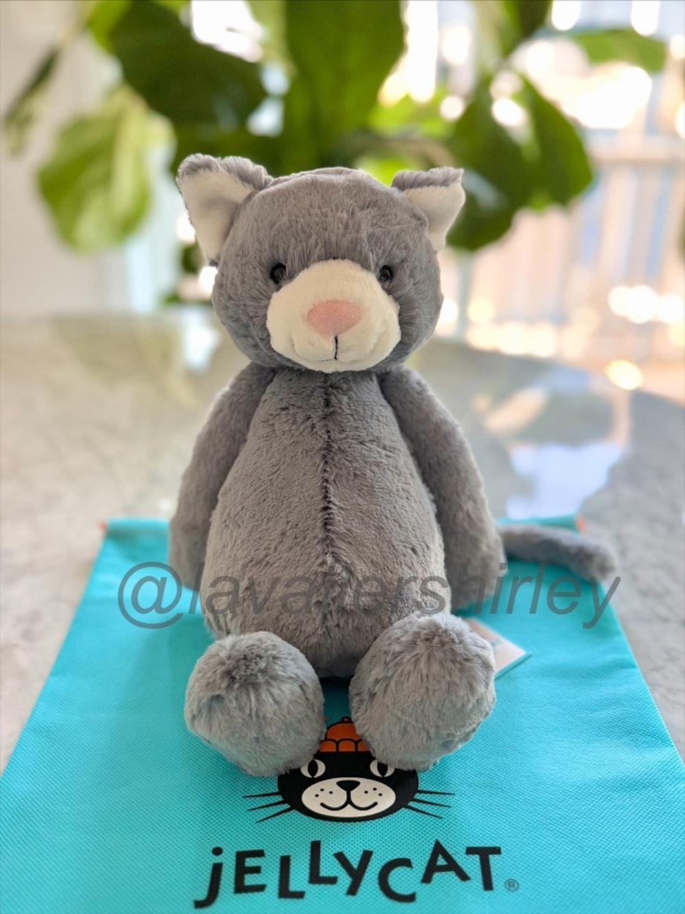 Jellycat Bashful Kitten NWT Authentic